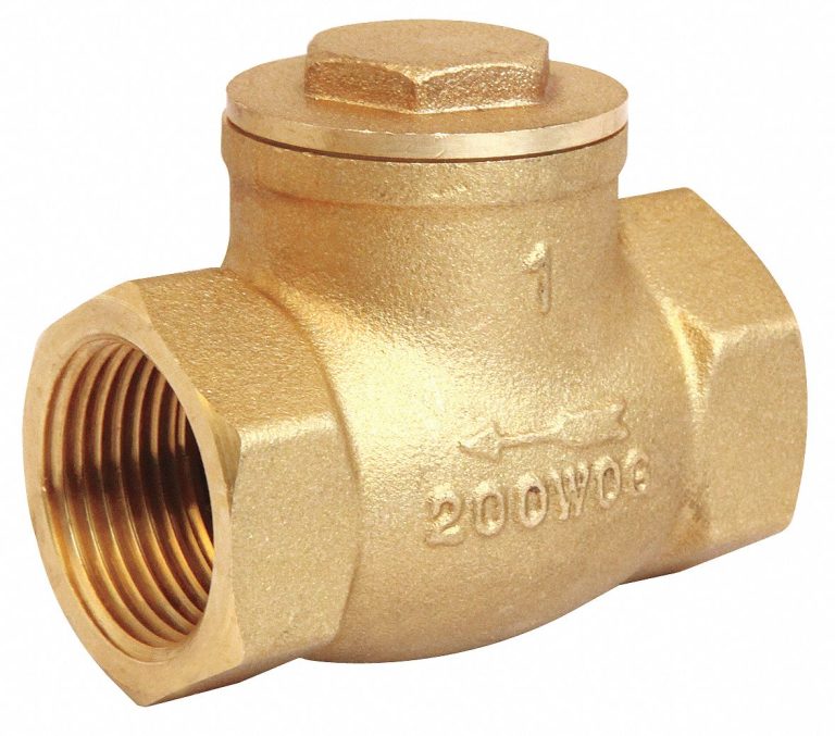 Check valves